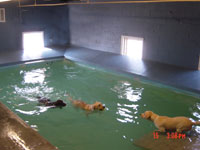 Swimming Pools